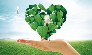 中華人民共和國(guó)環(huán)境保護(hù)法